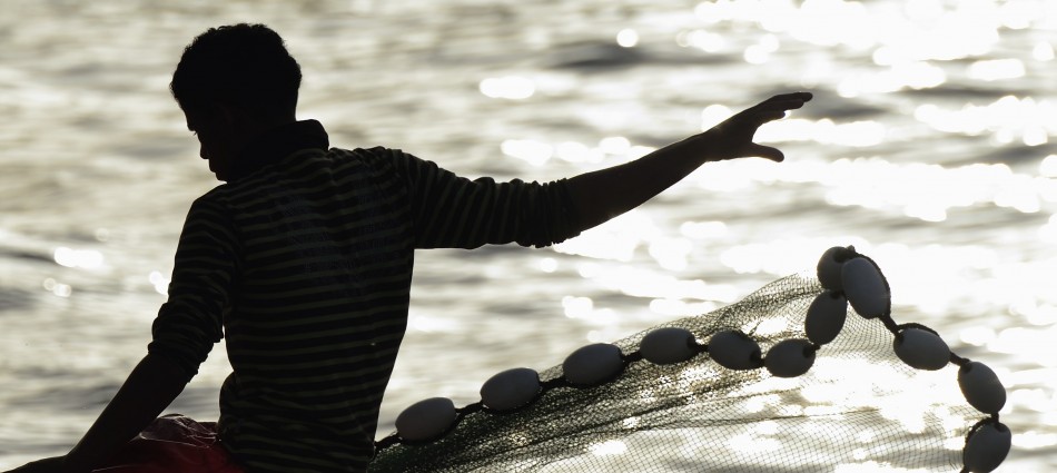 2015 - A year in photos