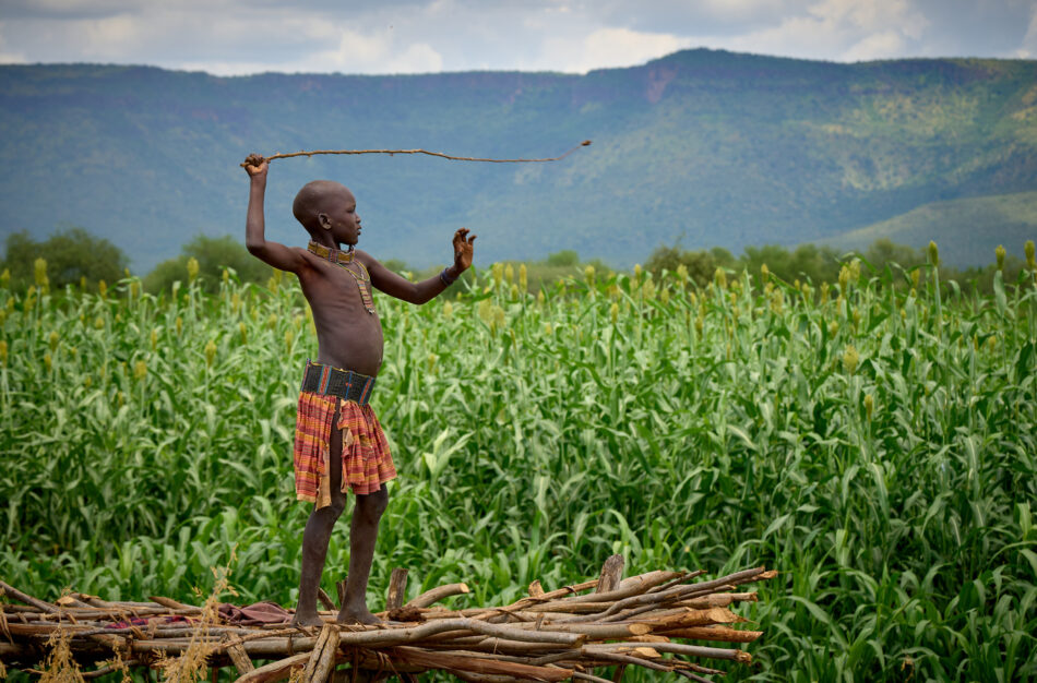 A Toposa girl protects her family's sorghum crop near Nakubuse, a remote community in South Sudan's Eastern Equatoria State.  The girl stands on an elevated platform where she can survey the entire field. When birds come to eat the grain, she forms a ball of mud around the end of a long flexible stick, which she then swings and cracks like a whip, sending the mud flying toward the birds. As the harvest approaches, every field has at least one such elevated platform, and children are the main protectors of the crop. The region has been plagued by cattle raiding and child abduction in recent years. The Catholic Church-sponsored Holy Trinity Peace Village, which includes this community, has worked for years to foster reconciliation and peace between the region's pastoralist communities.
