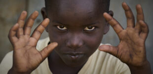 A Year in Pictures - 2025