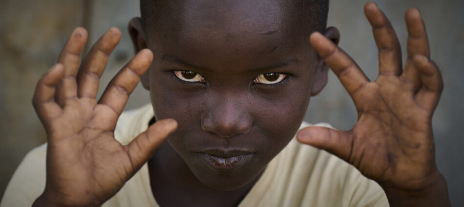 A Year in Pictures - 2025